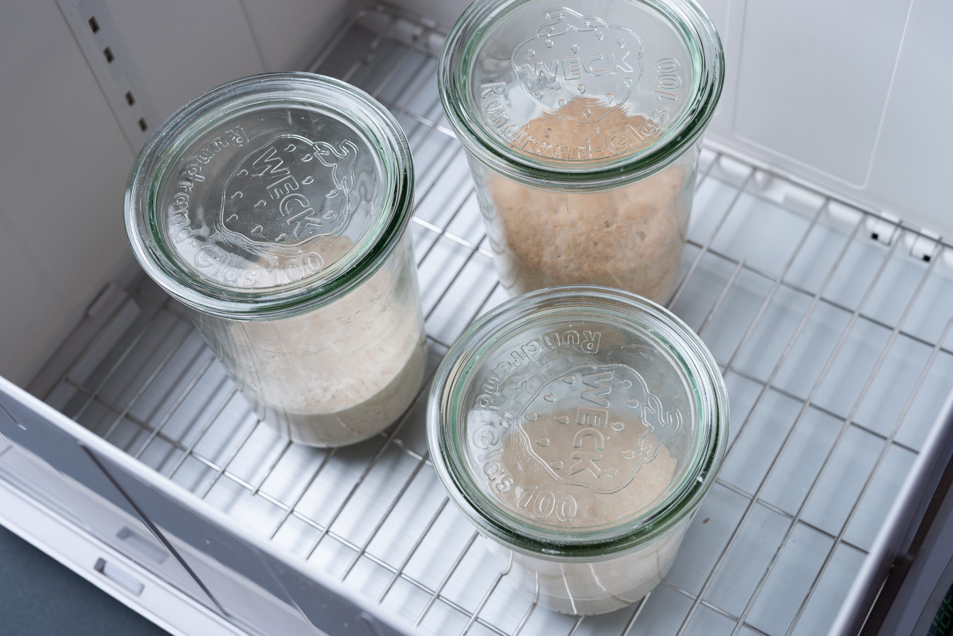 Jars clustered in the center of the dough proofer