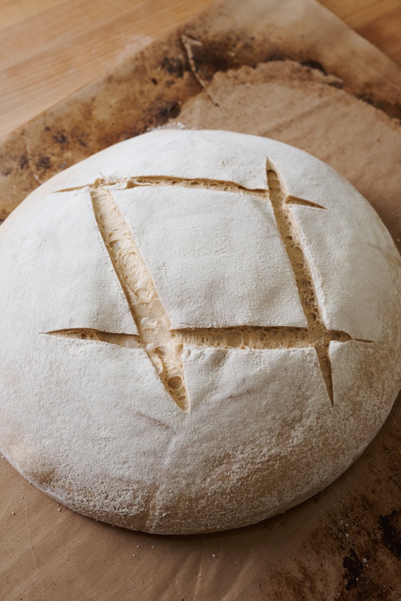 Sourdough miche scored and ready for baking.