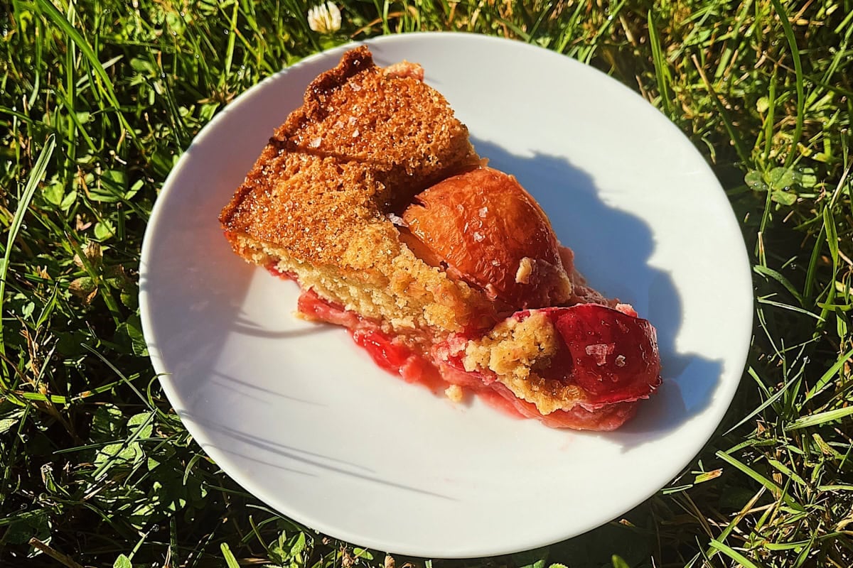 Sourdough Discard Plum Cake