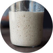 The Perfect Loaf Baking Guides Starter