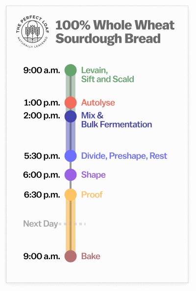 Whole wheat sourdough bread baking schedule